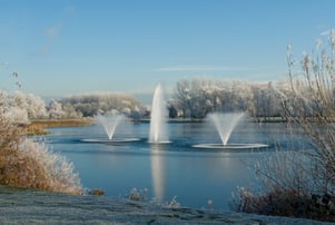Fountains in Frosty Weather
