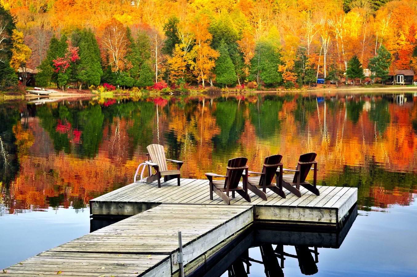 Wood Dock In Autumn